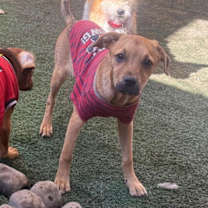 Thumbnail photo of Flower #1