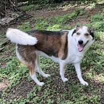 Thumbnail photo of Molly #3