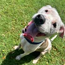 Thumbnail photo of Bane (Kenny) #4