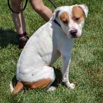 Thumbnail photo of Wiley #4