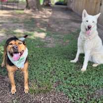 Thumbnail photo of Mary Puppins and her wiggle welcome #3