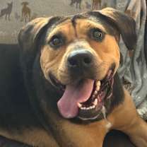 Thumbnail photo of Mary Puppins and her wiggle welcome #4