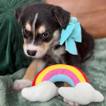 Thumbnail photo of Casey Little #2