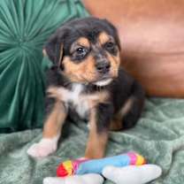 Thumbnail photo of Cooper Little #2