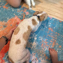 Thumbnail photo of Roger #3