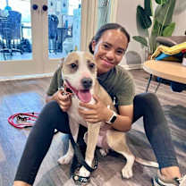 Thumbnail photo of Speckles Pocket Sized Smiling Pittie Girl #4