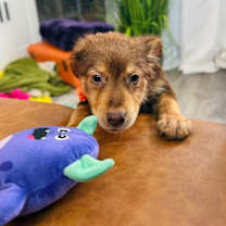 Thumbnail photo of Chester Channelview #3