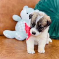 Thumbnail photo of Waffle Breakfast Bunch #2