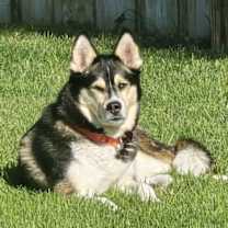 Thumbnail photo of Sally O'Malley #1