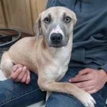 Thumbnail photo of HoneyBun #2