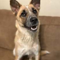 Thumbnail photo of Raya #1