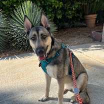 Thumbnail photo of Sonia #4