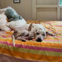 Thumbnail photo of Squishy #2