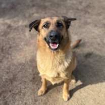 Thumbnail photo of Muffinz #1