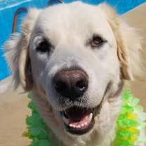 Thumbnail photo of Yuki #2