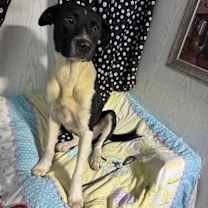 Thumbnail photo of Lorna #1