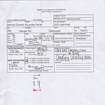 Thumbnail photo of Lorna #2