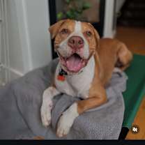 Thumbnail photo of Riley #2