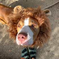 Thumbnail photo of Riley #3