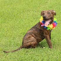 Thumbnail photo of Missy #1