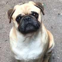 Thumbnail photo of Sam #1