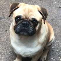 Thumbnail photo of Sam #2