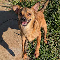 Thumbnail photo of BRAD #2