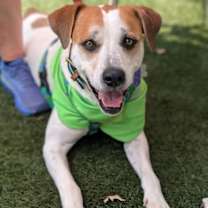 Thumbnail photo of Walter #1