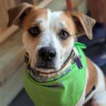 Thumbnail photo of Walter #2