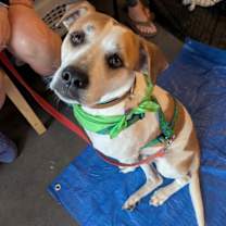 Thumbnail photo of Walter #3