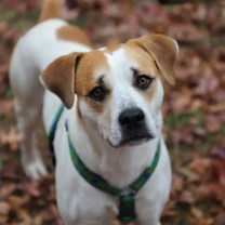 Thumbnail photo of Walter #4