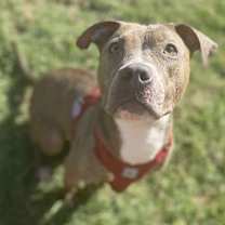 Thumbnail photo of Gisselle #2