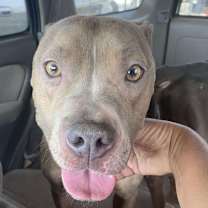 Thumbnail photo of Gisselle #1