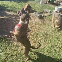 Thumbnail photo of Gisselle #3