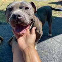 Thumbnail photo of Grayson #1