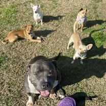 Thumbnail photo of Grayson #3