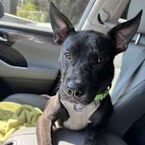 Thumbnail photo of River #2