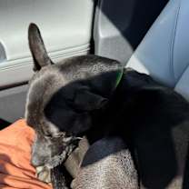 Thumbnail photo of River #4