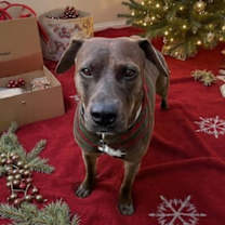 Thumbnail photo of Zola #1