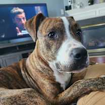 Thumbnail photo of Max #2