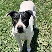 Thumbnail photo of Monna #2