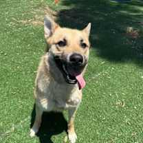 Thumbnail photo of RAYE #3