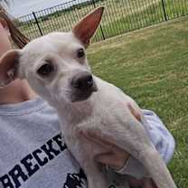 Thumbnail photo of Maximillion #4