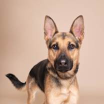 Thumbnail photo of Willa #1