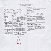 Thumbnail photo of Lawyer #3