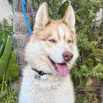 Thumbnail photo of Jackson #1