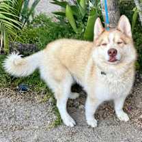 Thumbnail photo of Jackson #4