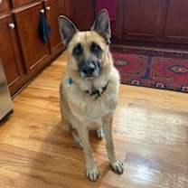 Thumbnail photo of Willie #3