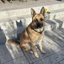 Thumbnail photo of Willie #4