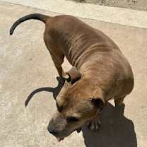 Thumbnail photo of Coffee #3